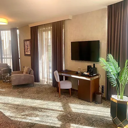 Royal 酒店 普罗夫迪夫