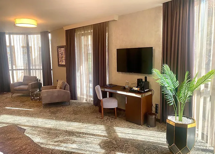 Royal 酒店 普罗夫迪夫